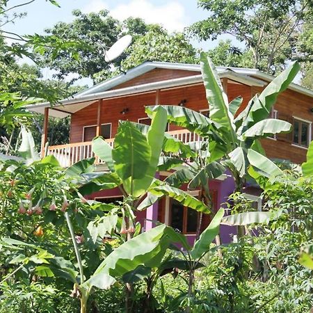 Bema Farm Villa Sao Jose Dış mekan fotoğraf