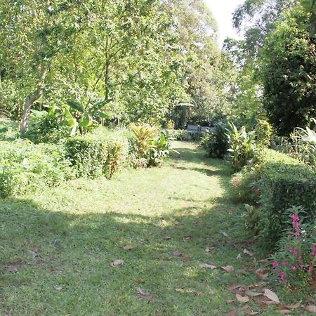 Bema Farm Villa Sao Jose Dış mekan fotoğraf