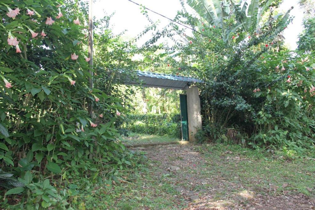 Bema Farm Villa Sao Jose Dış mekan fotoğraf