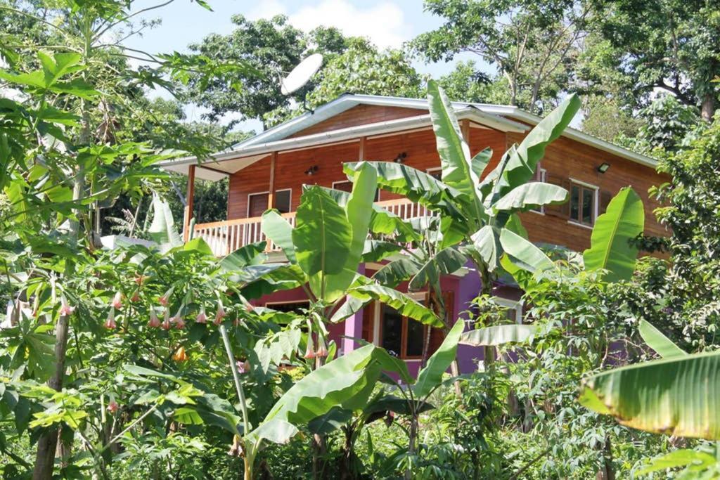 Bema Farm Villa Sao Jose Dış mekan fotoğraf